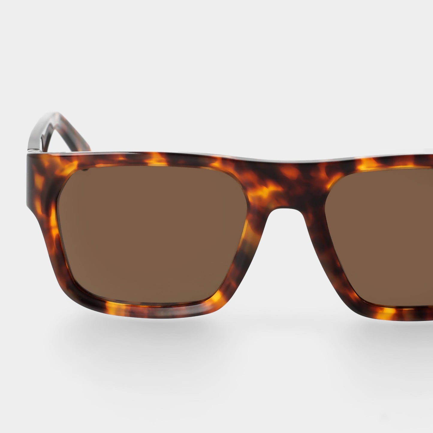 TBD Eyewear Elm Eco Spotted Havana / Tobacco